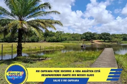 Rio Capivara pede socorro: a vida aquática está desaparecendo diante dos nossos olhos